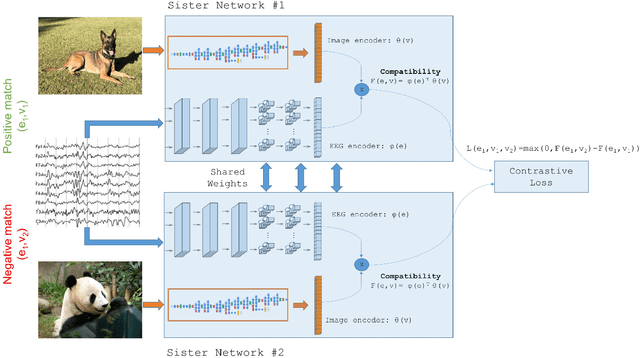 Figure 1 for Decoding Brain Representations by Multimodal Learning of Neural Activity and Visual Features