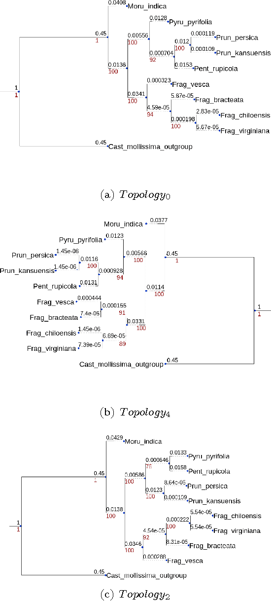 Figure 3 for Well-supported phylogenies using largest subsets of core-genes by discrete particle swarm optimization