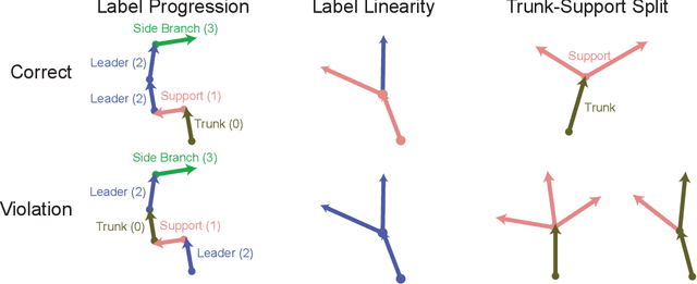 Figure 3 for Semantics-guided Skeletonization of Sweet Cherry Trees for Robotic Pruning