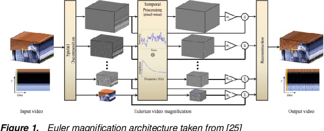 Figure 1 for Detecting Deepfake Videos Using Euler Video Magnification