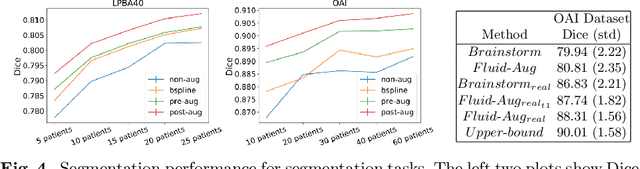 Figure 4 for Anatomical Data Augmentation via Fluid-based Image Registration