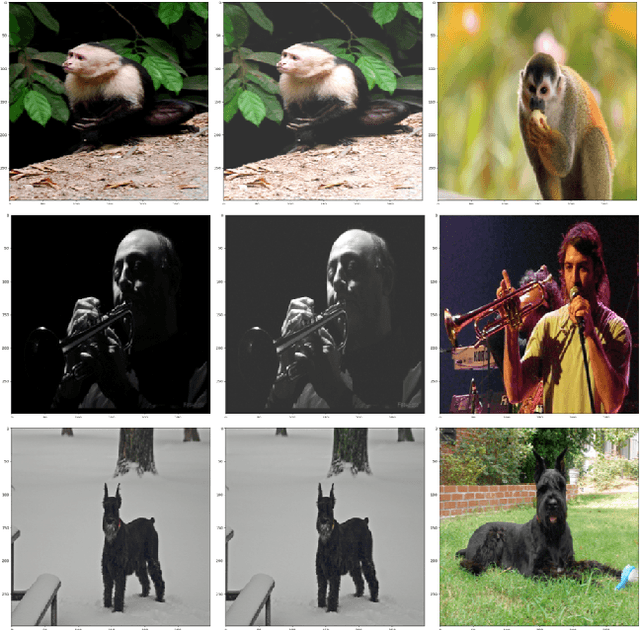 Figure 1 for An Experimental Study of Semantic Continuity for Deep Learning Models