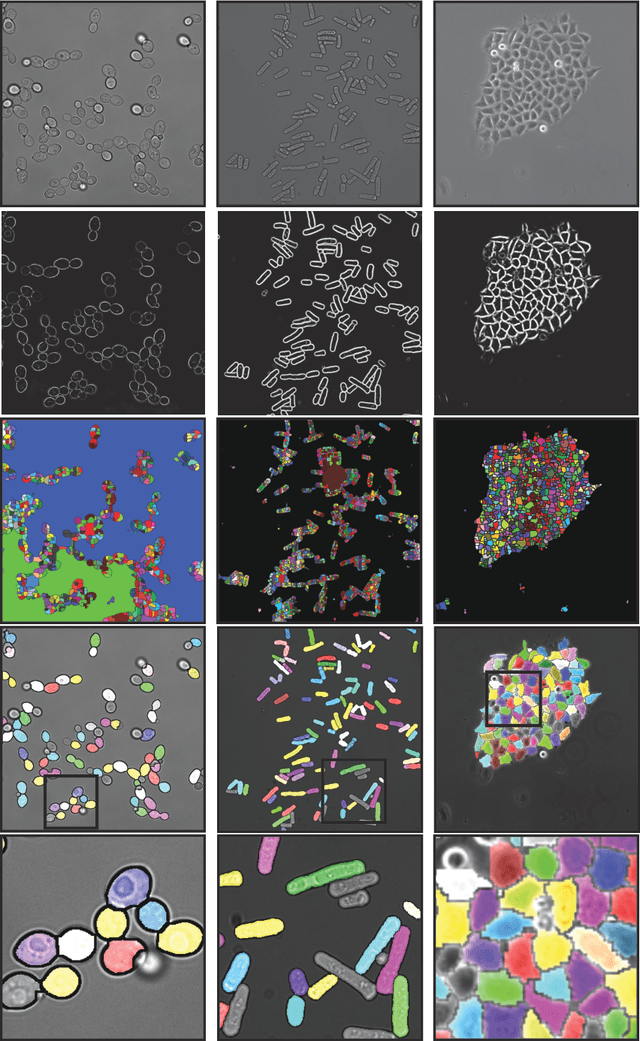 Figure 4 for Efficient Column Generation for Cell Detection and Segmentation