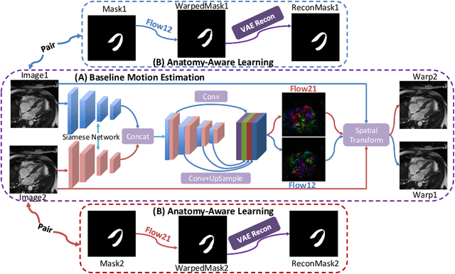Figure 3 for Anatomy-Aware Cardiac Motion Estimation