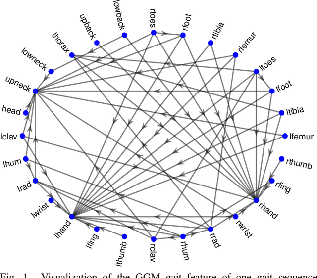 Figure 1 for Interpretable Gait Recognition by Granger Causality