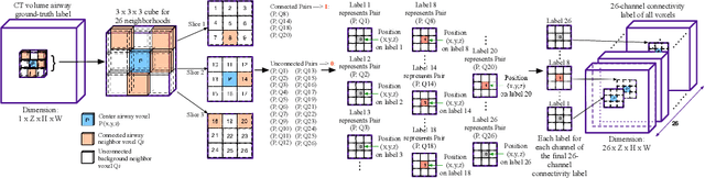 Figure 3 for AirwayNet: A Voxel-Connectivity Aware Approach for Accurate Airway Segmentation Using Convolutional Neural Networks