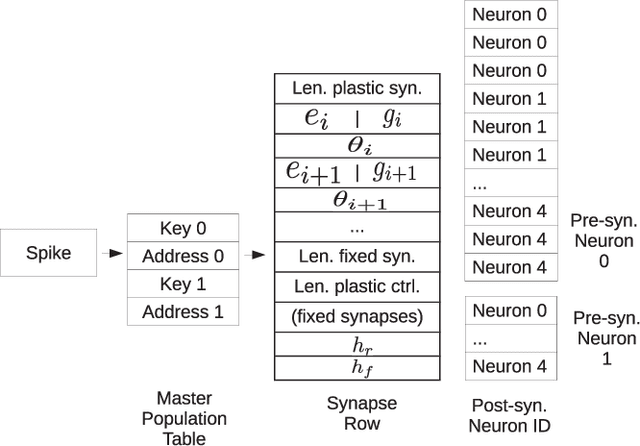 Figure 4 for Efficient Reward-Based Structural Plasticity on a SpiNNaker 2 Prototype