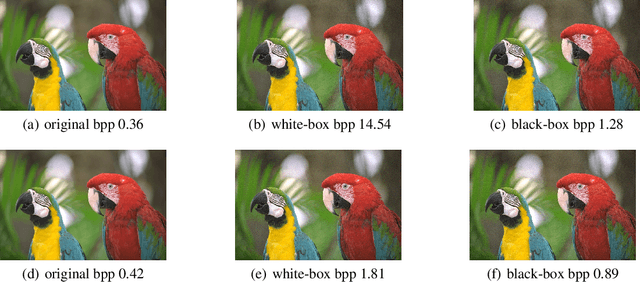 Figure 1 for Denial-of-Service Attacks on Learned Image Compression