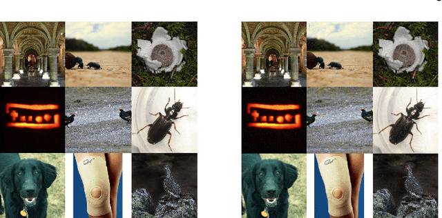 Figure 3 for DAmageNet: A Universal Adversarial Dataset