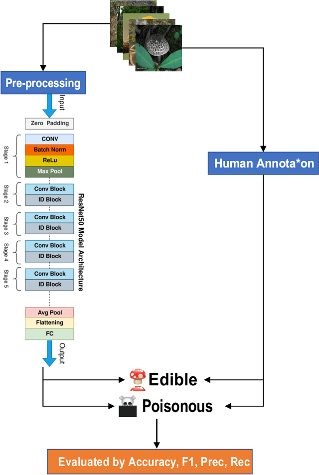 Figure 3 for Using deep convolutional neural networks to classify poisonous and edible mushrooms found in China