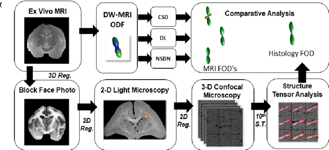 Figure 1 for Inter-Scanner Harmonization of High Angular Resolution DW-MRI using Null Space Deep Learning