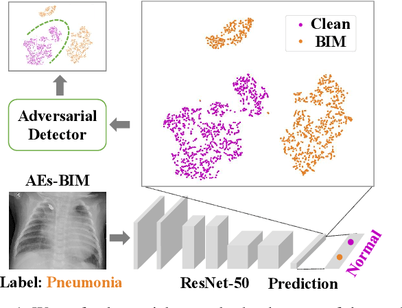 Figure 1 for A Hierarchical Feature Constraint to Camouflage Medical Adversarial Attacks