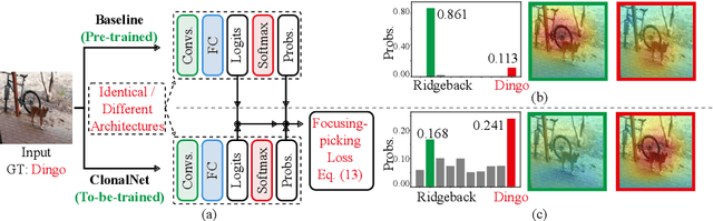 Figure 1 for ClonalNet: Classifying Better by Focusing on Confusing Categories