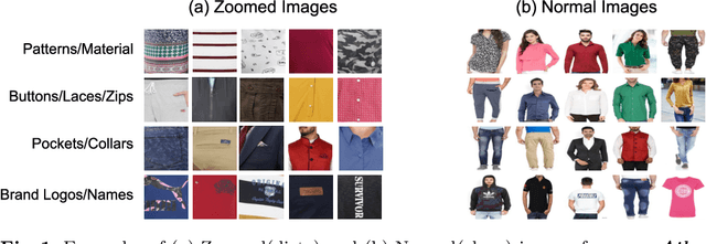 Figure 1 for Atlas: A Dataset and Benchmark for E-commerce Clothing Product Categorization