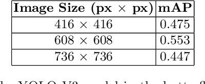 Figure 4 for Butterfly detection and classification based on integrated YOLO algorithm