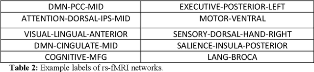 Figure 3 for Deep Labeling of fMRI Brain Networks Using Cloud Based Processing