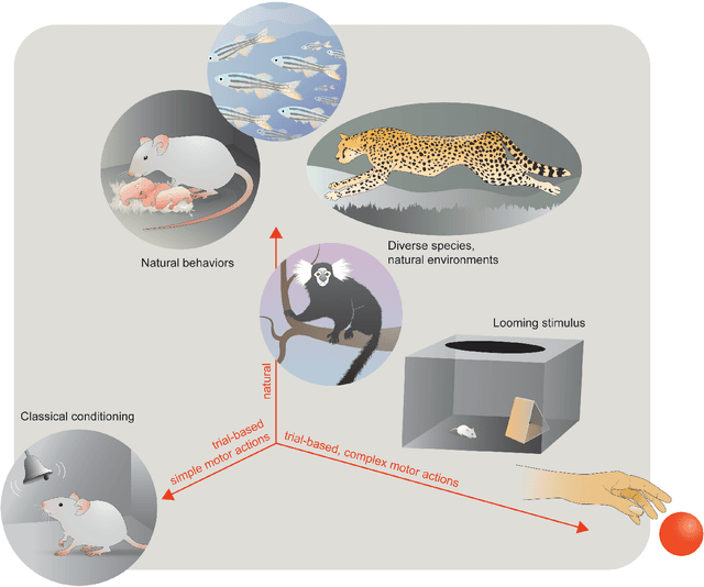 Figure 3 for Deep learning tools for the measurement of animal behavior in neuroscience