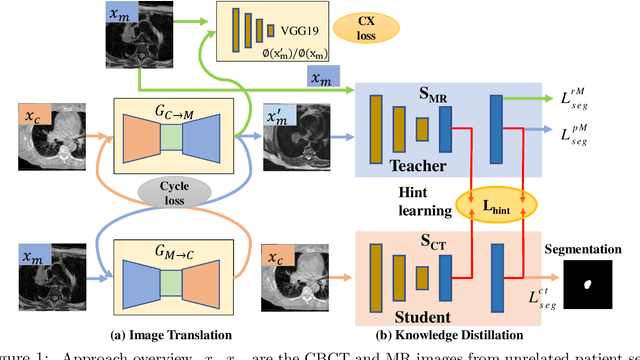 Figure 1 for Deep cross-modality (MR-CT) educed distillation learning for cone beam CT lung tumor segmentation