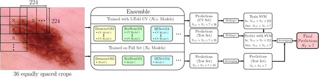 Figure 1 for Skin Lesion Diagnosis using Ensembles, Unscaled Multi-Crop Evaluation and Loss Weighting