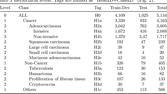 Figure 2 for Hierarchical Classification of Pulmonary Lesions: A Large-Scale Radio-Pathomics Study