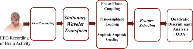Figure 1 for Classification of Epileptic EEG Signals by Wavelet based CFC