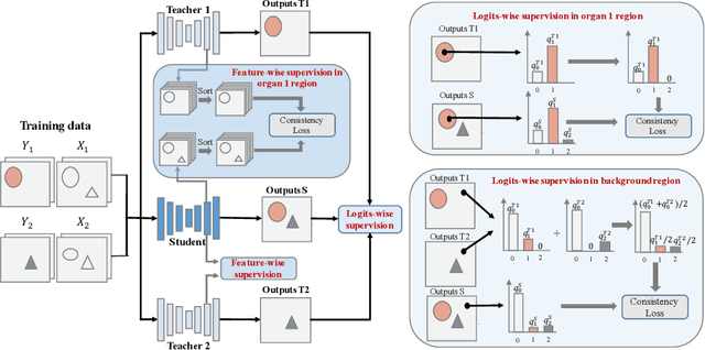 Figure 3 for MS-KD: Multi-Organ Segmentation with Multiple Binary-Labeled Datasets