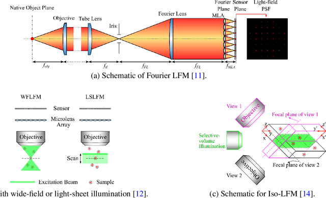 Figure 4 for Light-Field Microscopy for optical imaging of neuronal activity: when model-based methods meet data-driven approaches