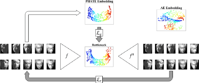 Figure 1 for Extendable and invertible manifold learning with geometry regularized autoencoders