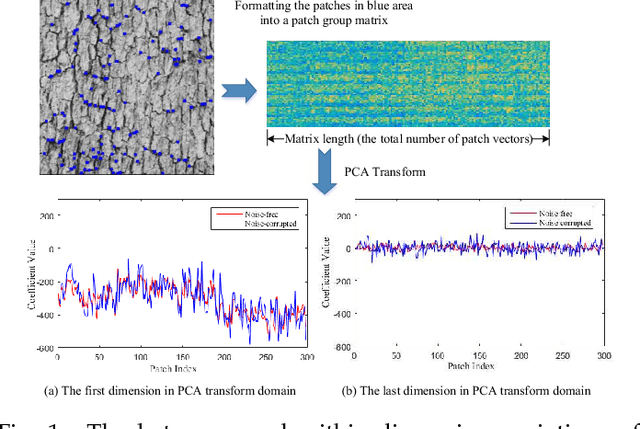 Figure 1 for Texture variation adaptive image denoising with nonlocal PCA