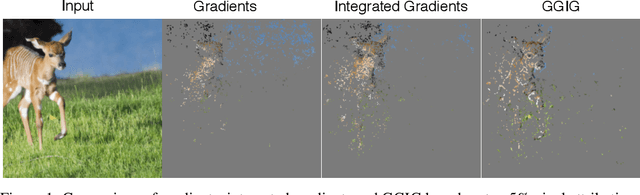 Figure 1 for Geometrically Guided Integrated Gradients