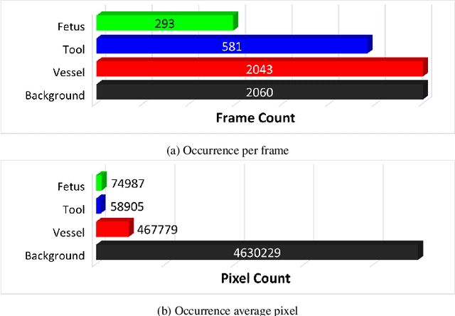Figure 4 for FetReg2021: A Challenge on Placental Vessel Segmentation and Registration in Fetoscopy