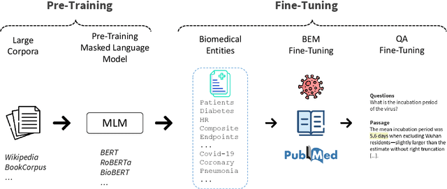 Figure 3 for Boosting Low-Resource Biomedical QA via Entity-Aware Masking Strategies