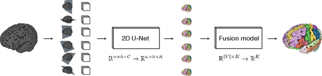 Figure 1 for One Network to Segment Them All: A General, Lightweight System for Accurate 3D Medical Image Segmentation