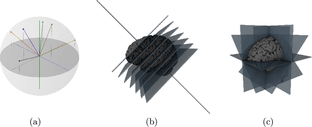 Figure 3 for One Network to Segment Them All: A General, Lightweight System for Accurate 3D Medical Image Segmentation