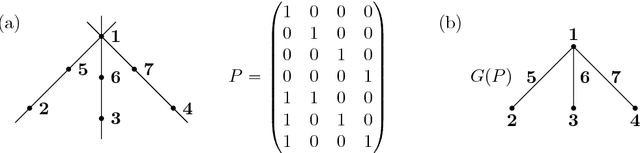 Figure 1 for Manifolds of Projective Shapes