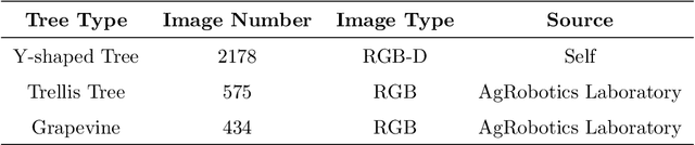 Figure 2 for HOB-CNN: Hallucination of Occluded Branches with a Convolutional Neural Network for 2D Fruit Trees