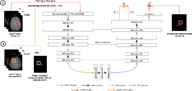 Figure 1 for Semi-Supervised Deep Learning for Fully Convolutional Networks