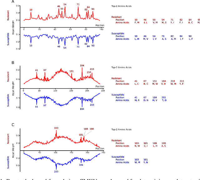 Figure 2 for Convolutional Motif Kernel Networks