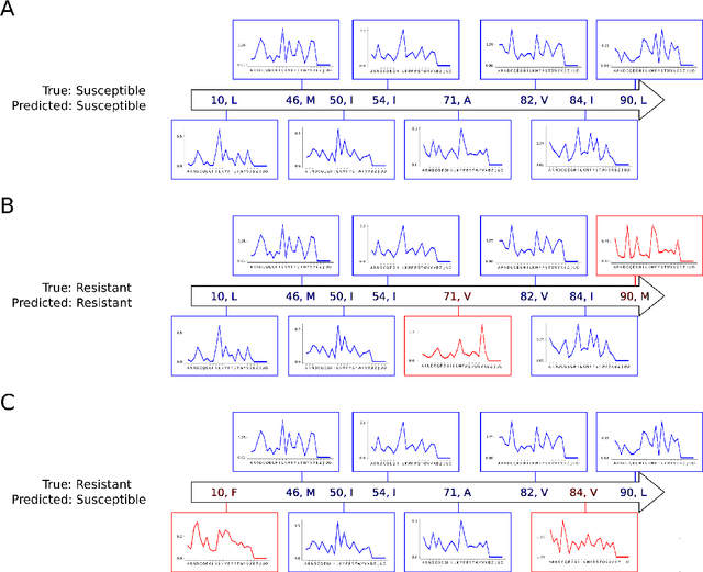 Figure 3 for Convolutional Motif Kernel Networks