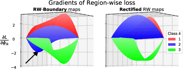 Figure 3 for Region-wise Loss for Biomedical Image Segmentation