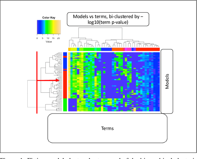 Figure 1 for MDL-motivated compression of GLM ensembles increases interpretability and retains predictive power