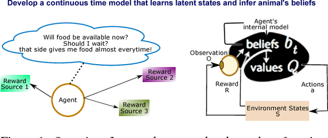 Figure 1 for Belief dynamics extraction