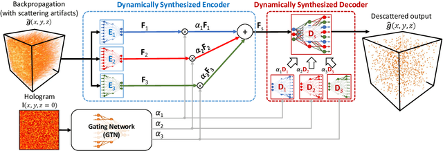 Figure 1 for Adaptive 3D descattering with a dynamic synthesis network