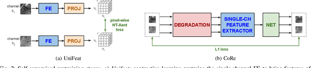 Figure 2 for Self-supervised learning for joint SAR and multispectral land cover classification
