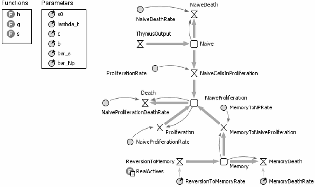 Figure 3 for Juxtaposition of System Dynamics and Agent-based Simulation for a Case Study in Immunosenescence