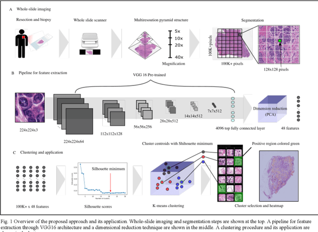 Figure 1 for Unsupervised Learning of Deep-Learned Features from Breast Cancer Images
