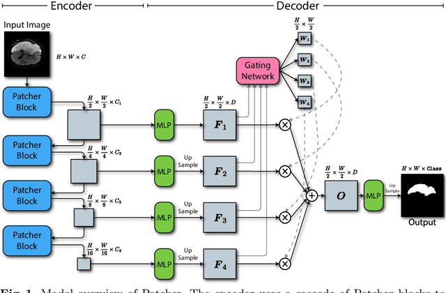Figure 1 for Patcher: Patch Transformers with Mixture of Experts for Precise Medical Image Segmentation