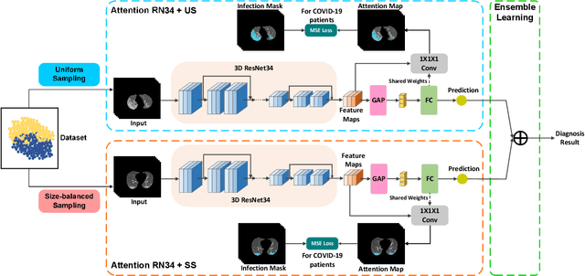 Figure 2 for Dual-Sampling Attention Network for Diagnosis of COVID-19 from Community Acquired Pneumonia