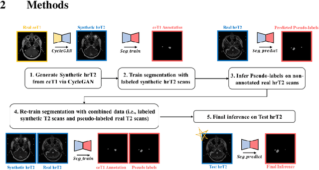 Figure 1 for Self-Training Based Unsupervised Cross-Modality Domain Adaptation for Vestibular Schwannoma and Cochlea Segmentation
