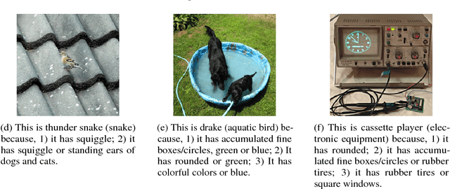 Figure 2 for Network Analysis for Explanation